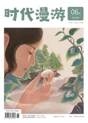 时代漫游封面