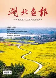 湖北画报封面