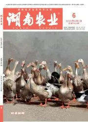湖南农业封面