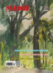 河北画报封面