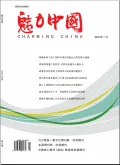 魅力中国封面