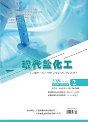 现代盐化工封面
