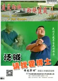 建筑砌块与砌块建筑封面