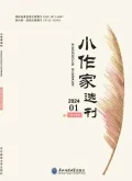 小作家选刊封面