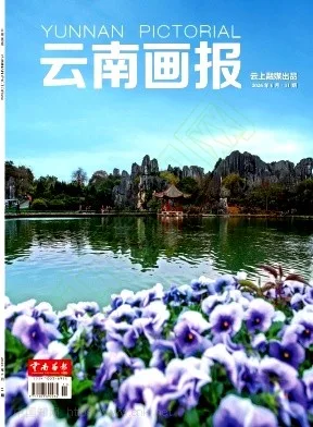 云南画报封面