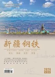 新疆钢铁封面