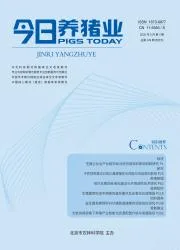 今日养猪业封面