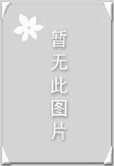 采写编封面