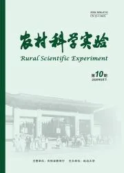 农村科学实验封面