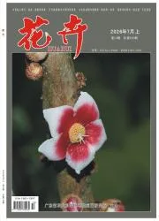 花卉封面