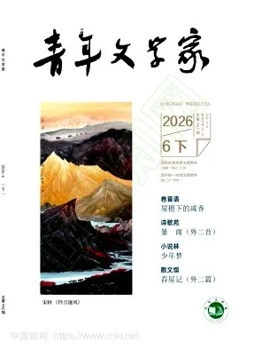 青年文学家封面