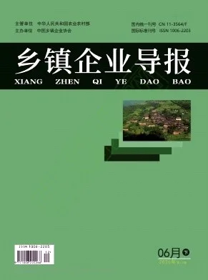 乡镇企业导报封面