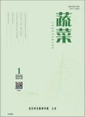 色彩封面